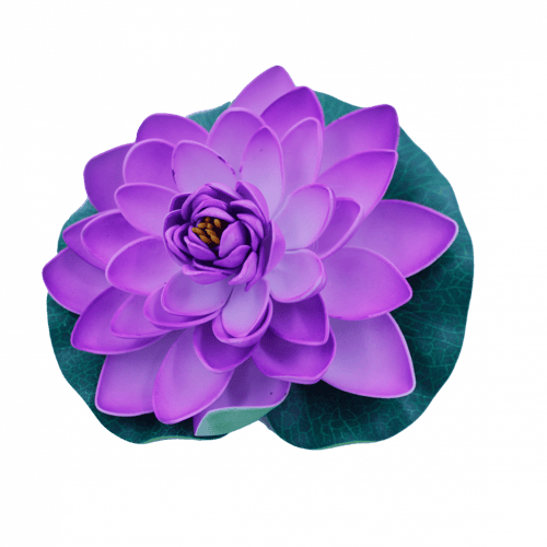 ورد مسابح فليين (وسط)