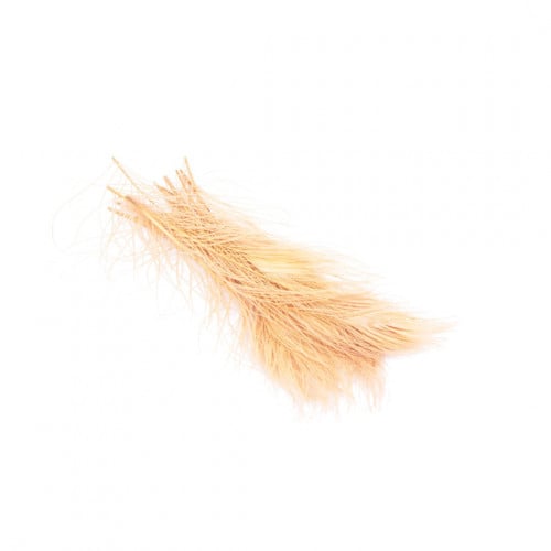 ريش طاووس لون ذهبي 30 سم