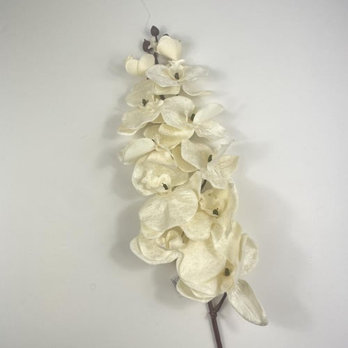 أوركيد قطيفة فاخرة بتصميم واقعي