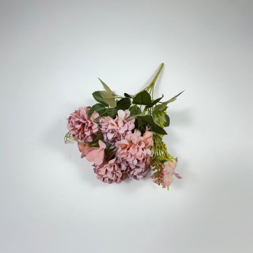 ورد بيبي كريز