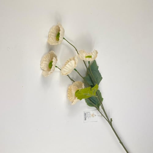 اغصان الخشخاش قطيفة