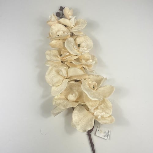 أوركيد قطيفة فاخرة بتصميم واقعي