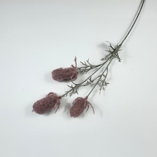 اغصان تنسيق ريفية