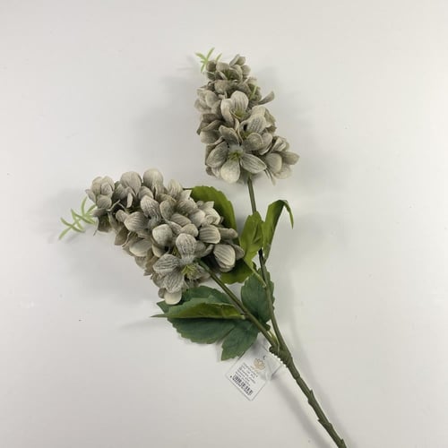 اغصان دولفينيوم قطيفة