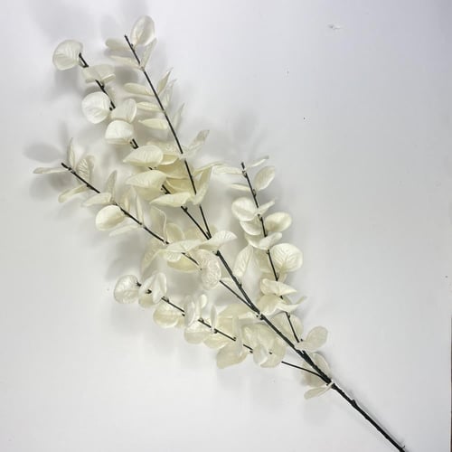 اغصان يوكليبتوس قطيفة ملون