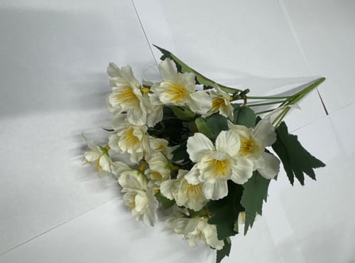 ورد بيبي ياسمين