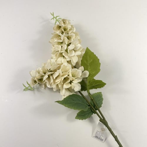 اغصان دولفينيوم قطيفة