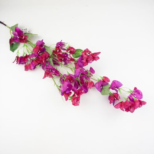 أغصان جهنمية مقاس كبير