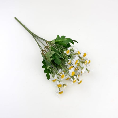 تباع الشمس بيبي