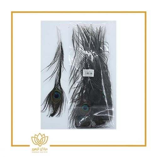 ريش طاووس لون طبيعي 30 سم