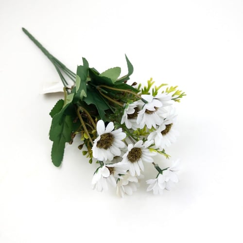 ورد تباع الشمس بيبي