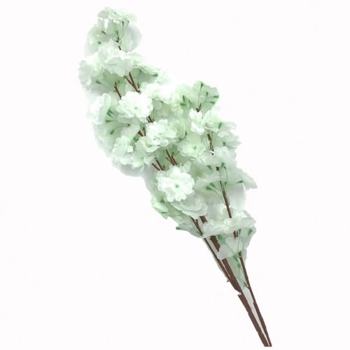 أغصان زهرة الربيع