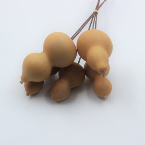 أغصان طبيعية مجففة