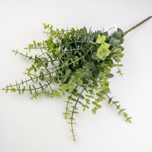 يوكليبتوس صناعي اخضر