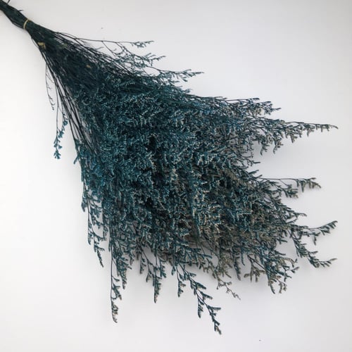 اغصان تنسيق طبيعية مجففة