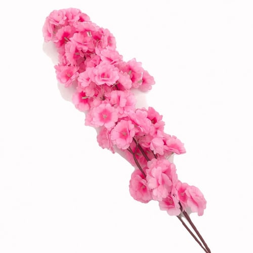 أغصان زهرة الربيع