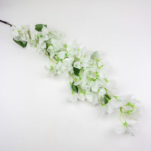 أغصان جهنمية مقاس كبير