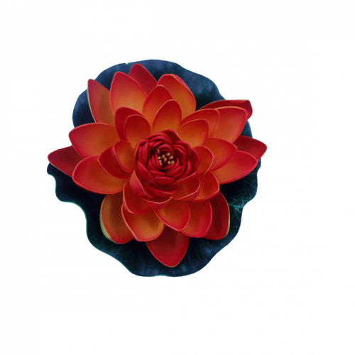 ورد مسابح فليين (وسط)