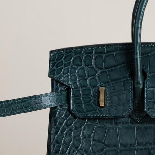 Birkin 25cm Matte Alligator Crocodile leather, 6O...