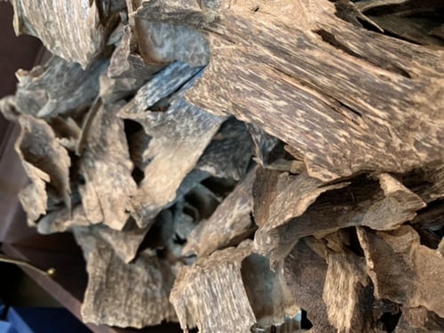 عود فتنامي مستزرع