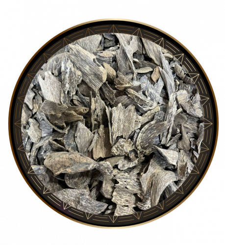 عود جاوي ميني وأصغر