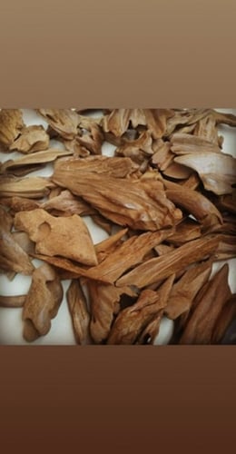 مروكي كسر مباخر فاخر