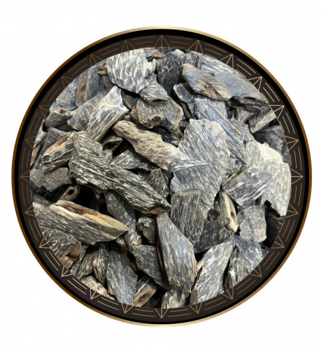 عود بنقلاديشي ميني وأصغر