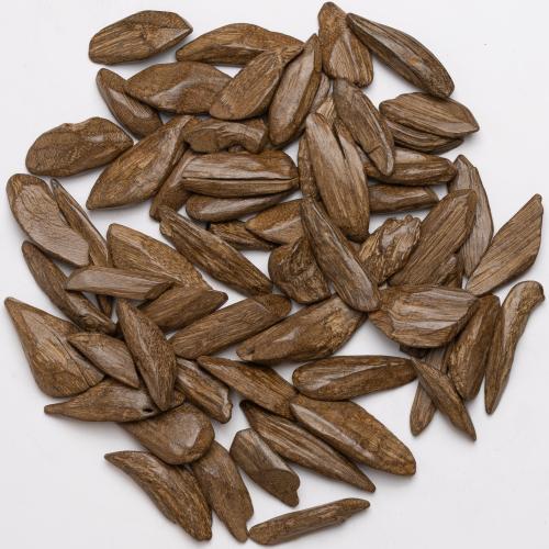 موروكي محسن النخبة