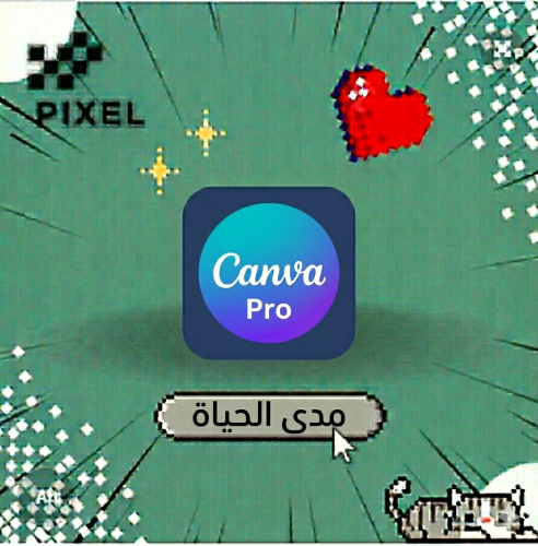 اشتراك كانفا برو مدى الحياة - حسابك الخاص