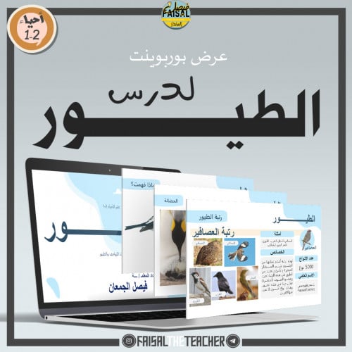 عرض درس الطيور