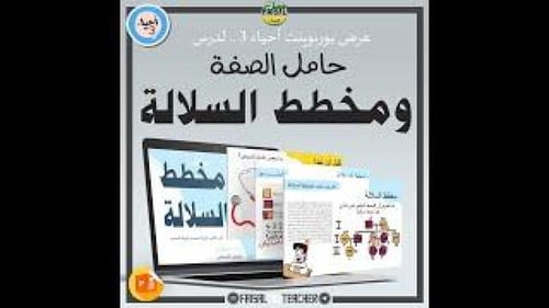 عرض لدرس مخطط السلالة - 23B