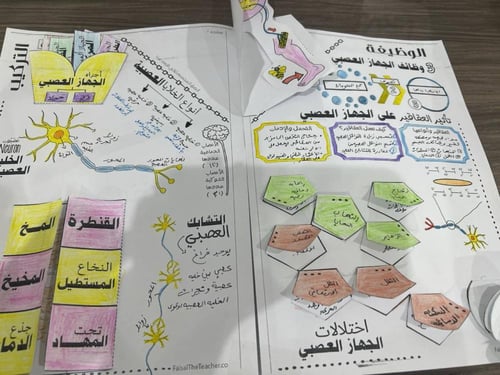 ملف الجهاز العصبي - ثلاثي الابعاد