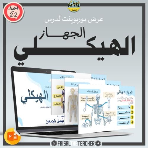 عرض تفصيلي لدرس الجهاز الهيكلي - 01