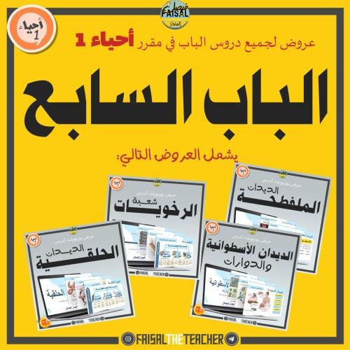 عروض الباب السابع لمقرر أحياء 1 (4 عروض)