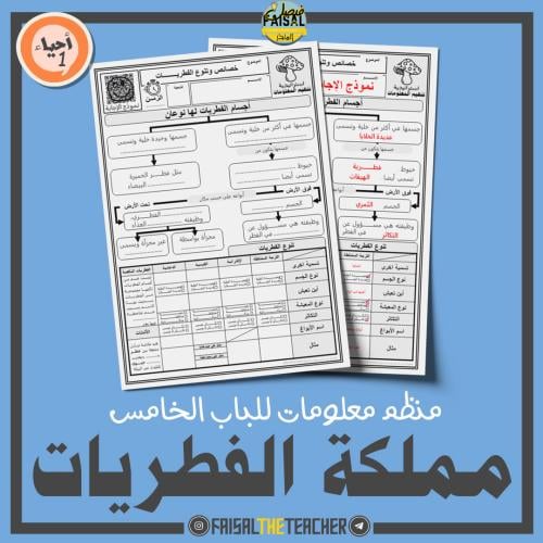 منظم معلومات مملكة الفطريات