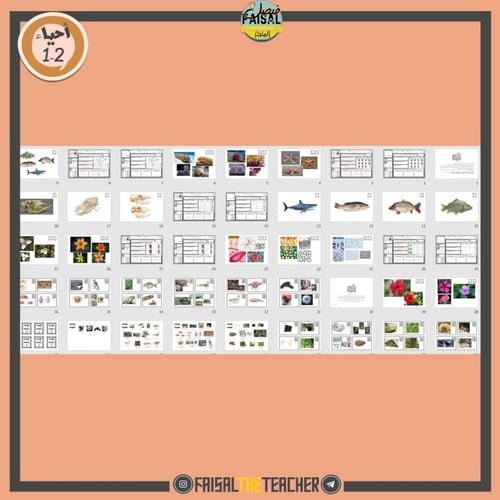 5 نماذج اختبار عملي نهائي لتجارب الكتاب (قابل للتع...