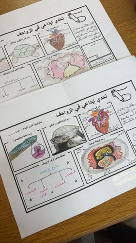 عرض درس الزواحف