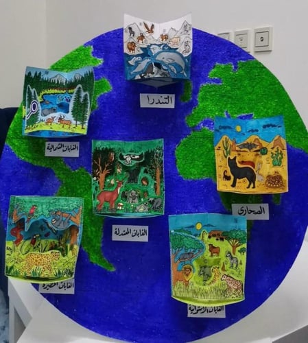 نموذج POP-UP لمنطقة الغابات المطيرة