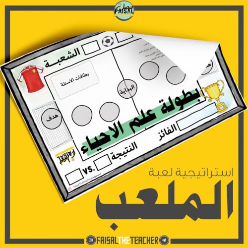 استراتيجية الملعب