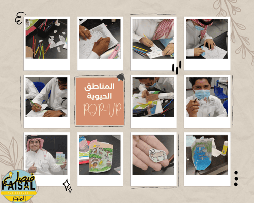 نموذج POP-UP لمنطقة الغابات الشمالية (التيجة)