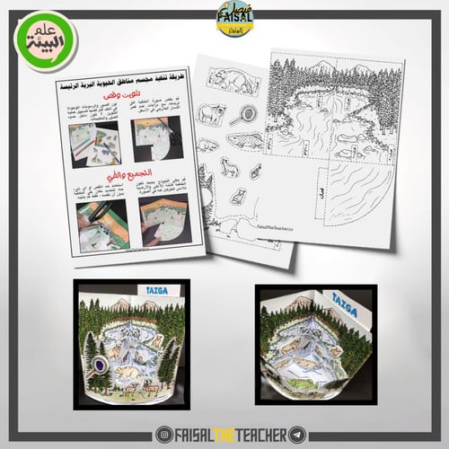 نموذج POP-UP لمنطقة الغابات الشمالية (التيجة)