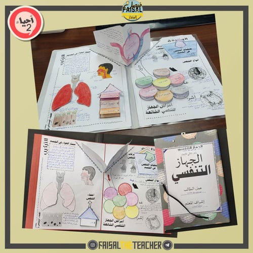 ملف الجهاز التنفسي - ثلاثي الابعاد