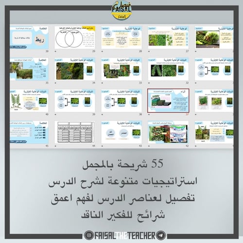 عرض لدرس النباتات الوعائية اللابذرية