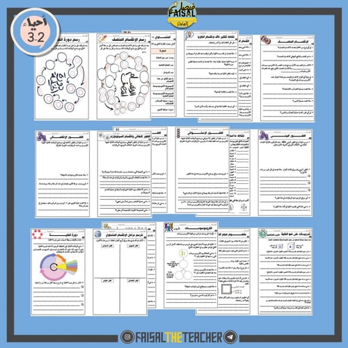 دفتر ملاحظات الانقسام الخلوي (المتساوي والمنصف)