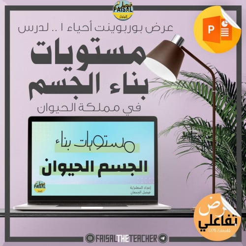 عرض تفاعلي لدرس مستويات بناء الجسم في الحيوانات -...