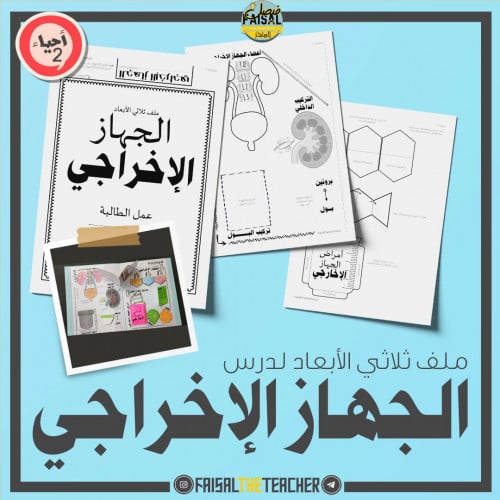 ملف الجهاز الإخراجي - ثلاثي الابعاد