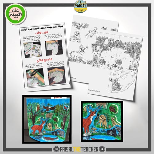 نموذج POP-UP لمنطقة الغابات المعتدلة