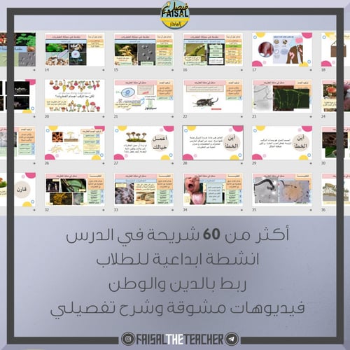 عرض بوربوينت تفاعلي لدرس مدخل للفطريات - احياء1