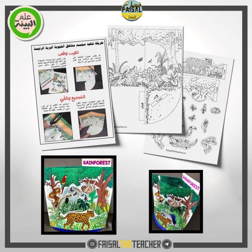 نموذج POP-UP لمنطقة الغابات المطيرة