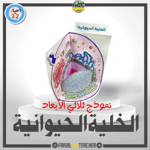 نموذج POP-UP للخلية الحيوانية